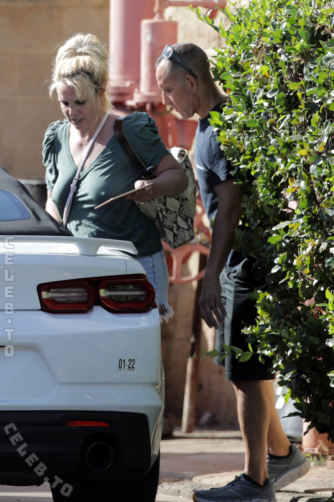 Britney Spears nude photo 5