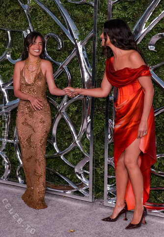 Camila Cabello #nipslip walked the red carpet at the 2019 MTV Video Music Awards 09/2019