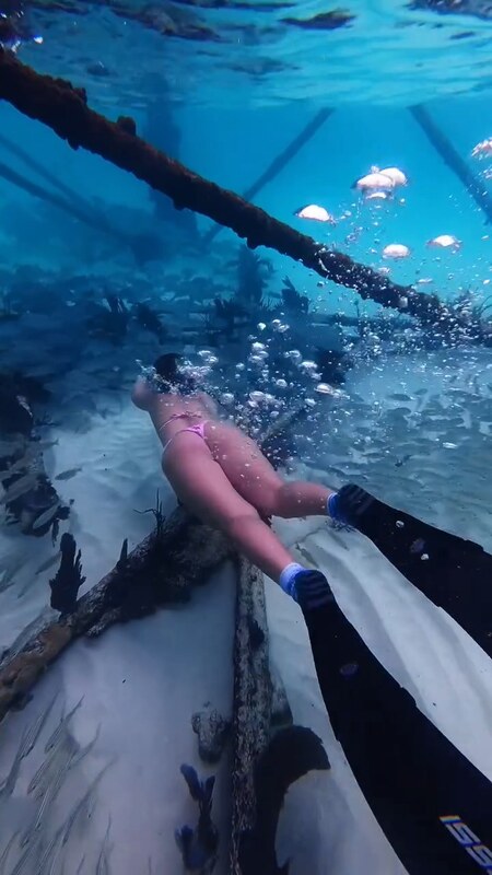carissa dives nude photo 2