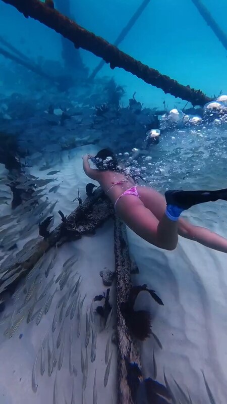 carissa dives nude photo 3