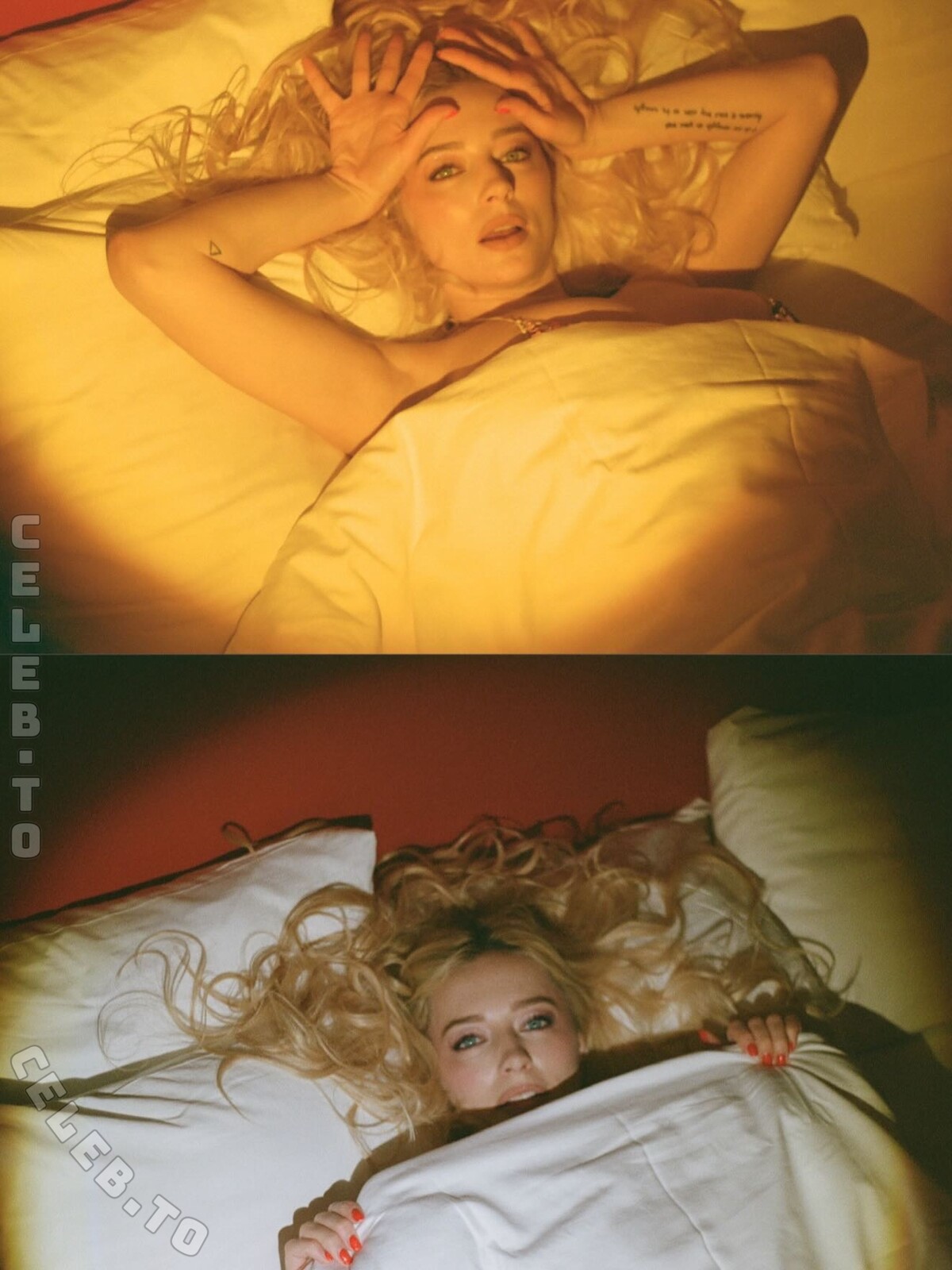 Caroline Vreeland nude photo 6