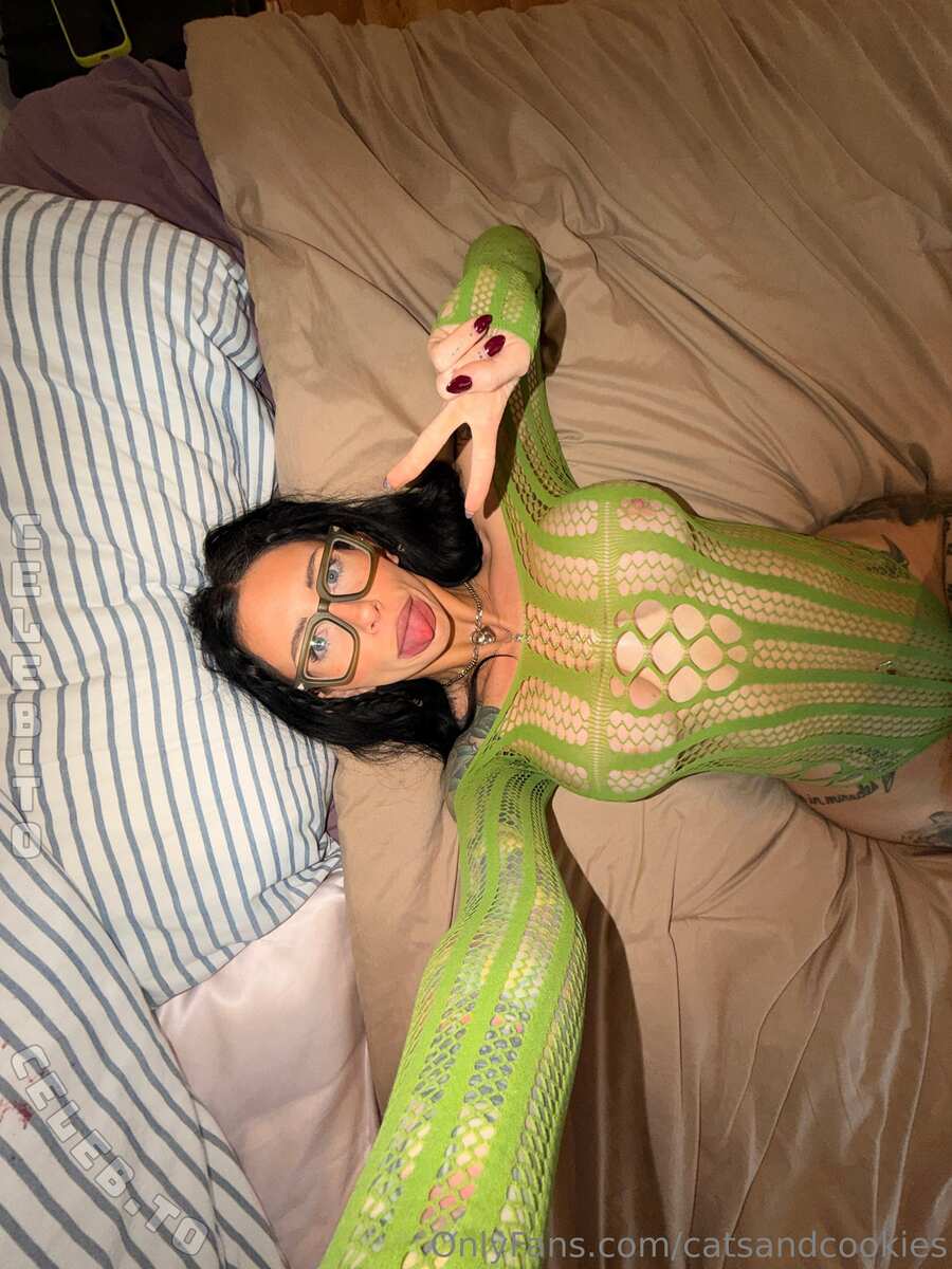 Catsandcookies nude photo 7