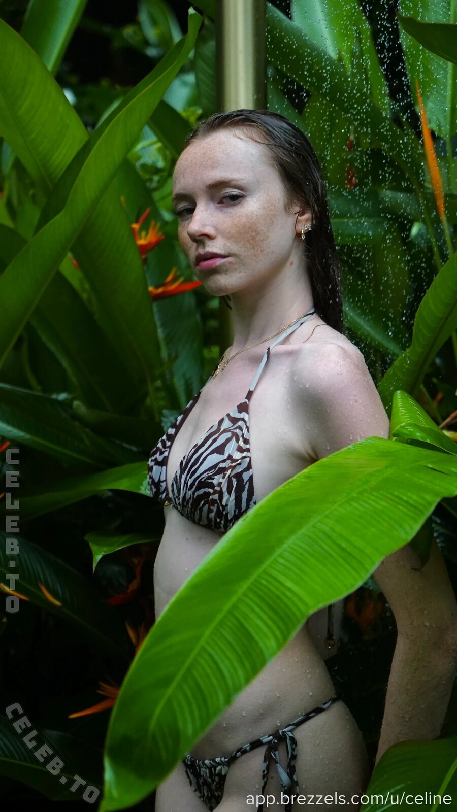 Celine Hamann nude photo 4
