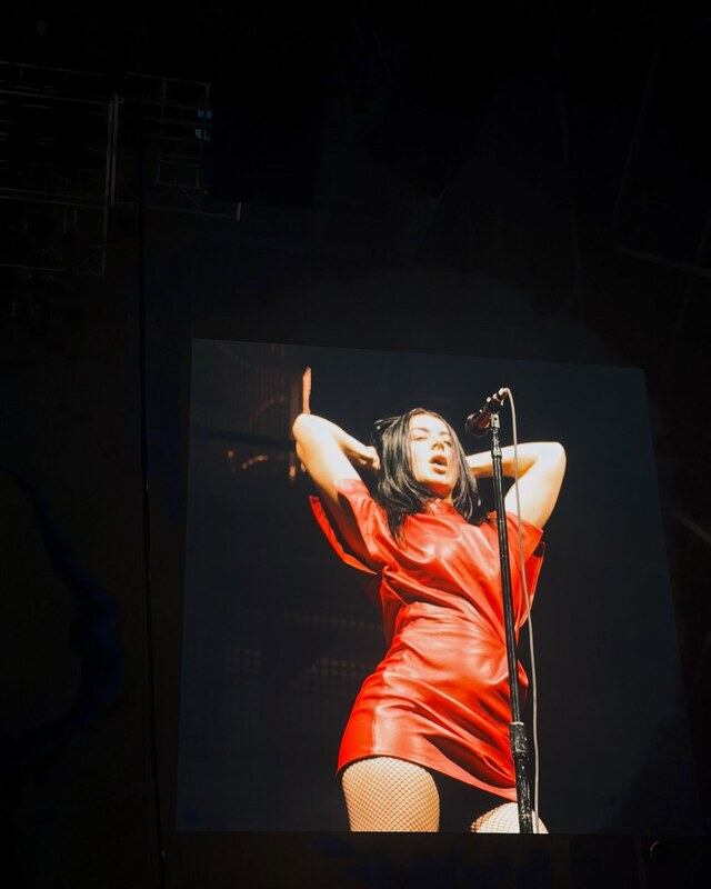 Charli XCX nude photo 16