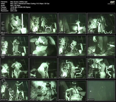 Classical Vintage Retro Films – Attic Queen Source: archive.org/details/AtticQueen