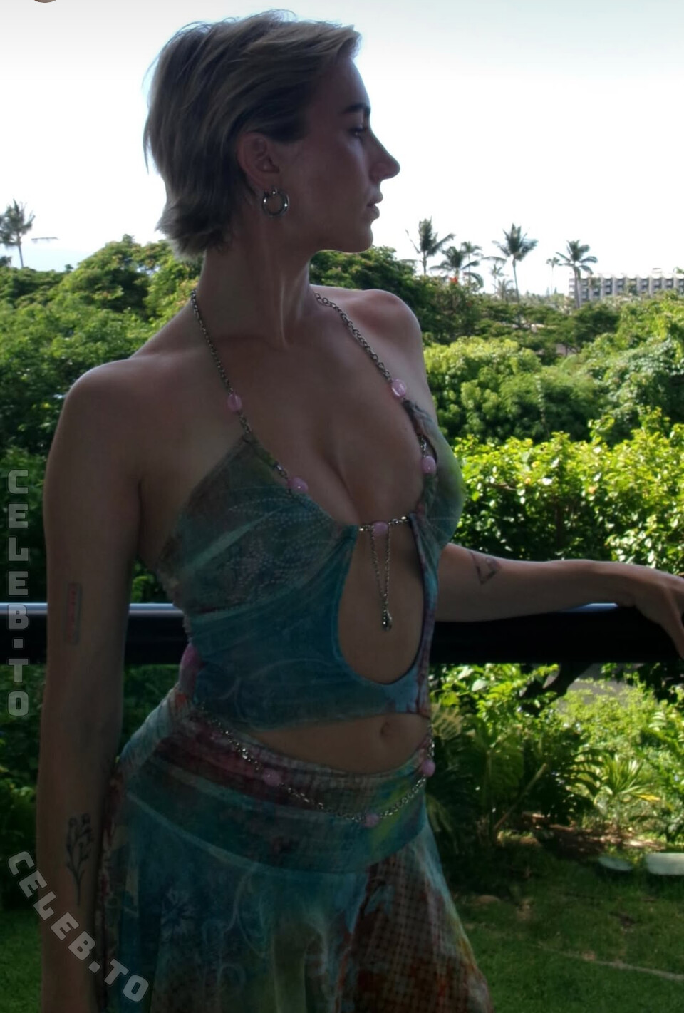 Courtney Miller nude photo 2