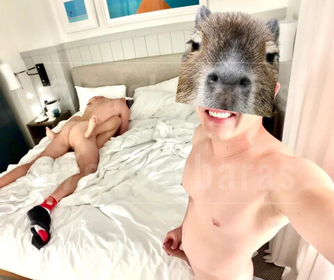 cuckybaras Fresh (5 photos)