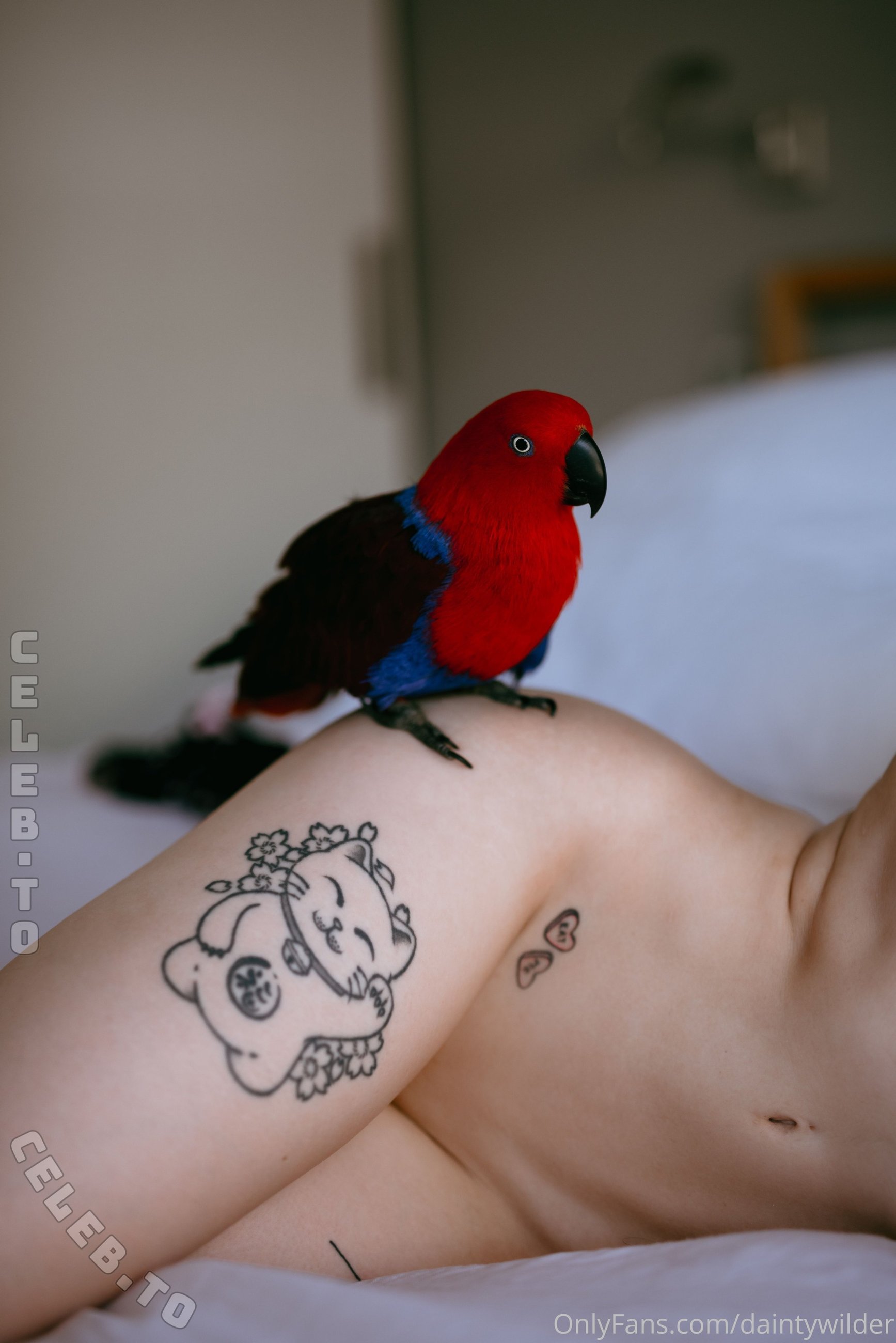Dainty Wilder nude photo 4