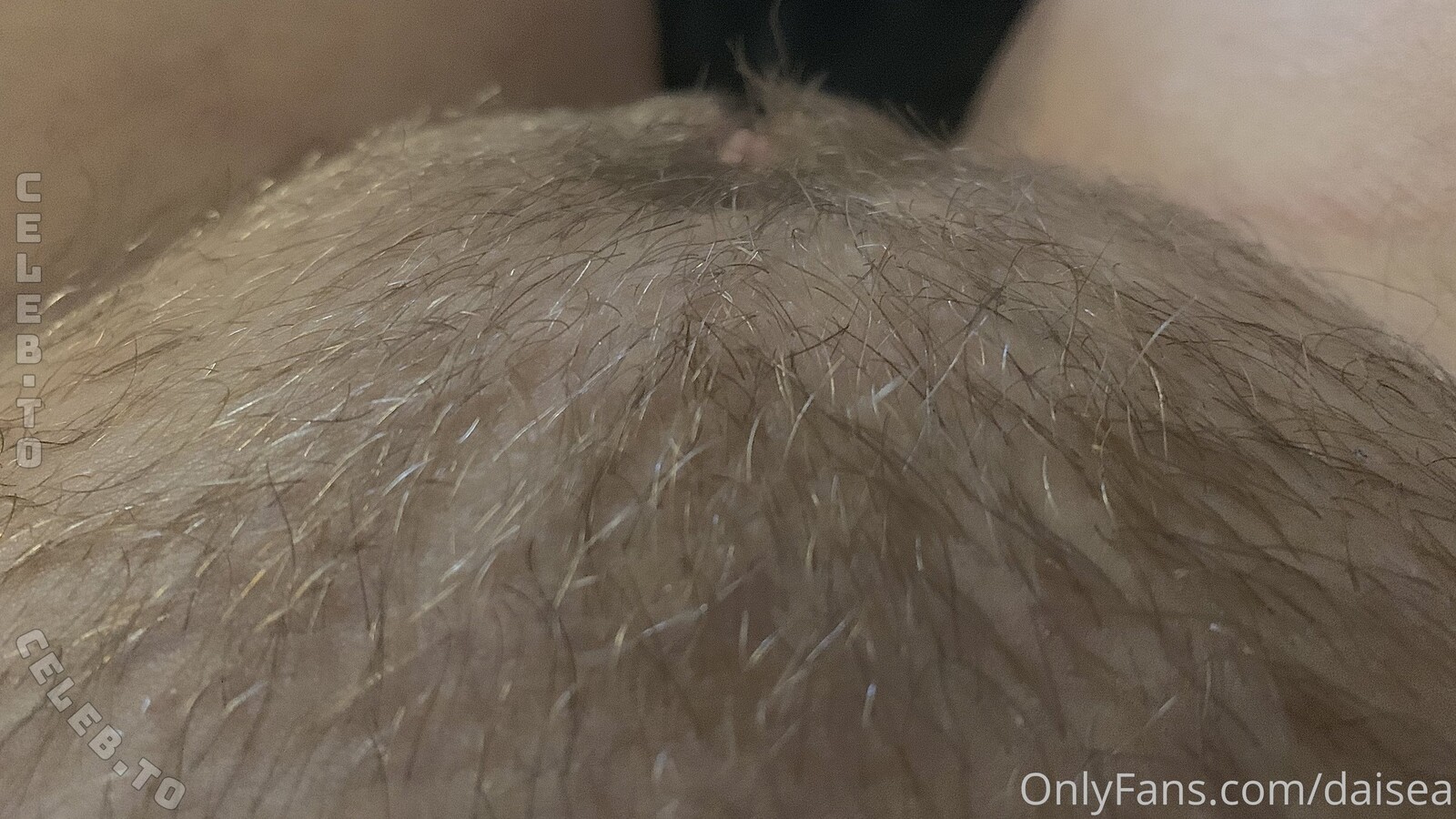 Daisea nude photo 4