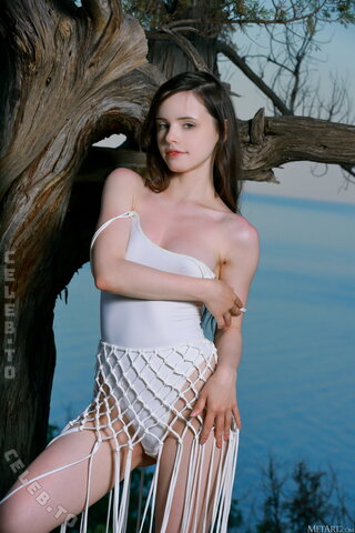 Dakota Doll nude photo 219