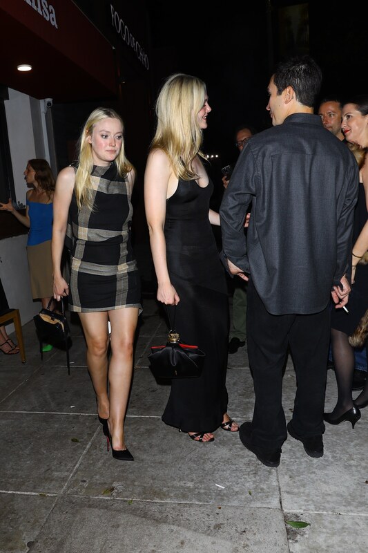 Dakota Fanning nude photo 8