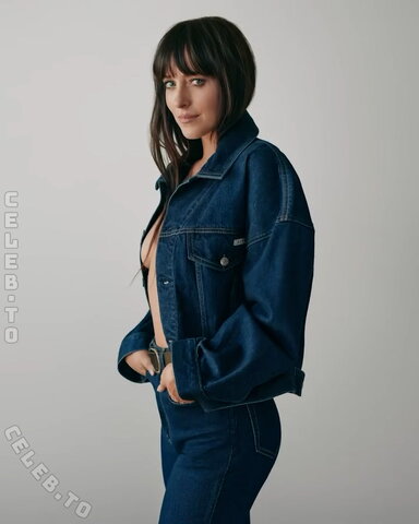 Dakota Johnson nude photo 34