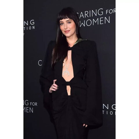Dakota Johnson nude photo 11
