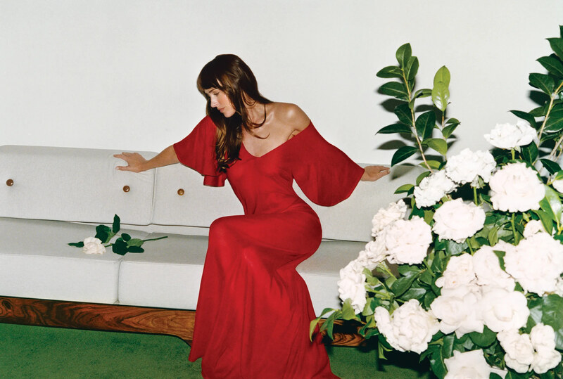 Dakota Johnson nude photo 9