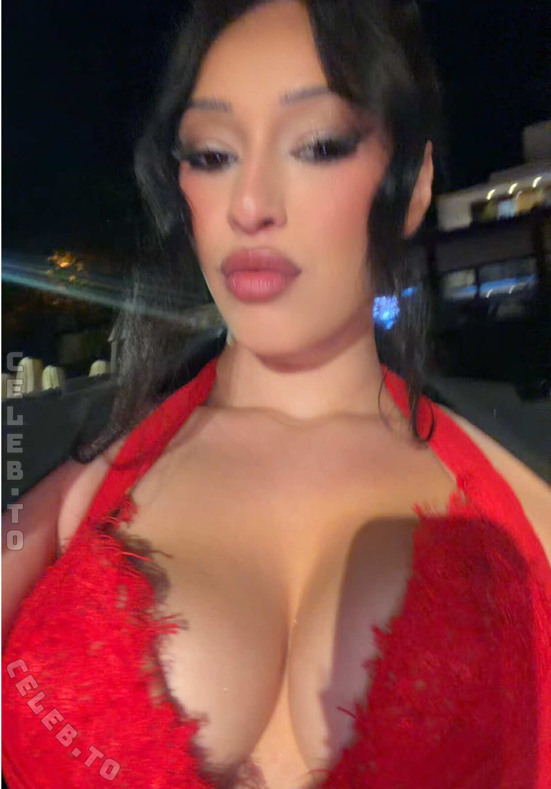 Danja Kilani nude photo 2