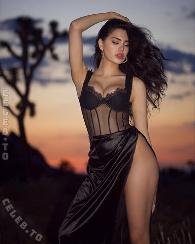 Dayna Roman nude photo 10