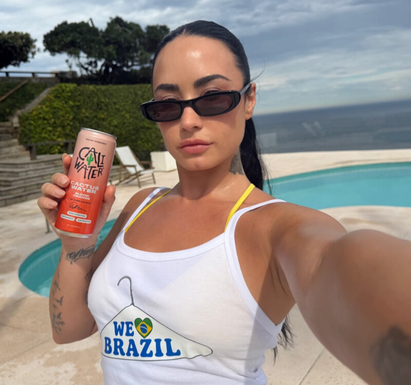 Demi Lovato nude photo 4