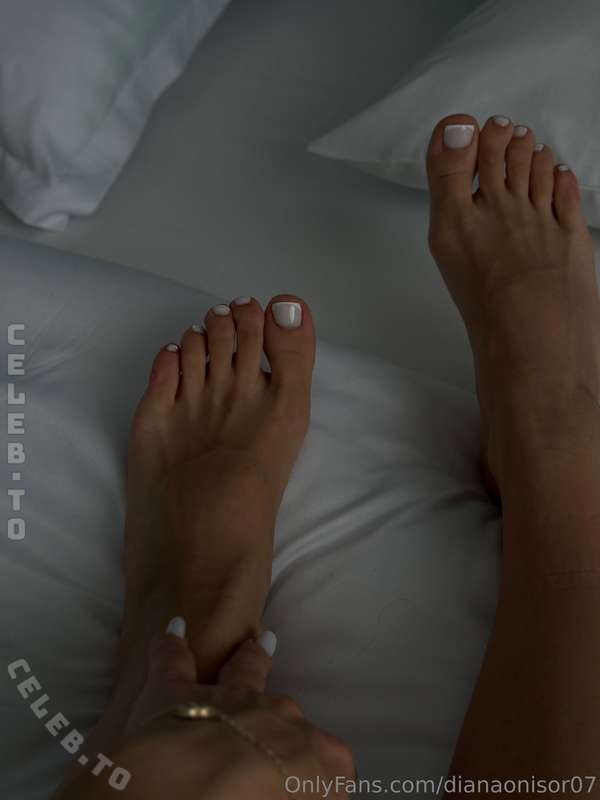 Diana Onisor nude photo 1