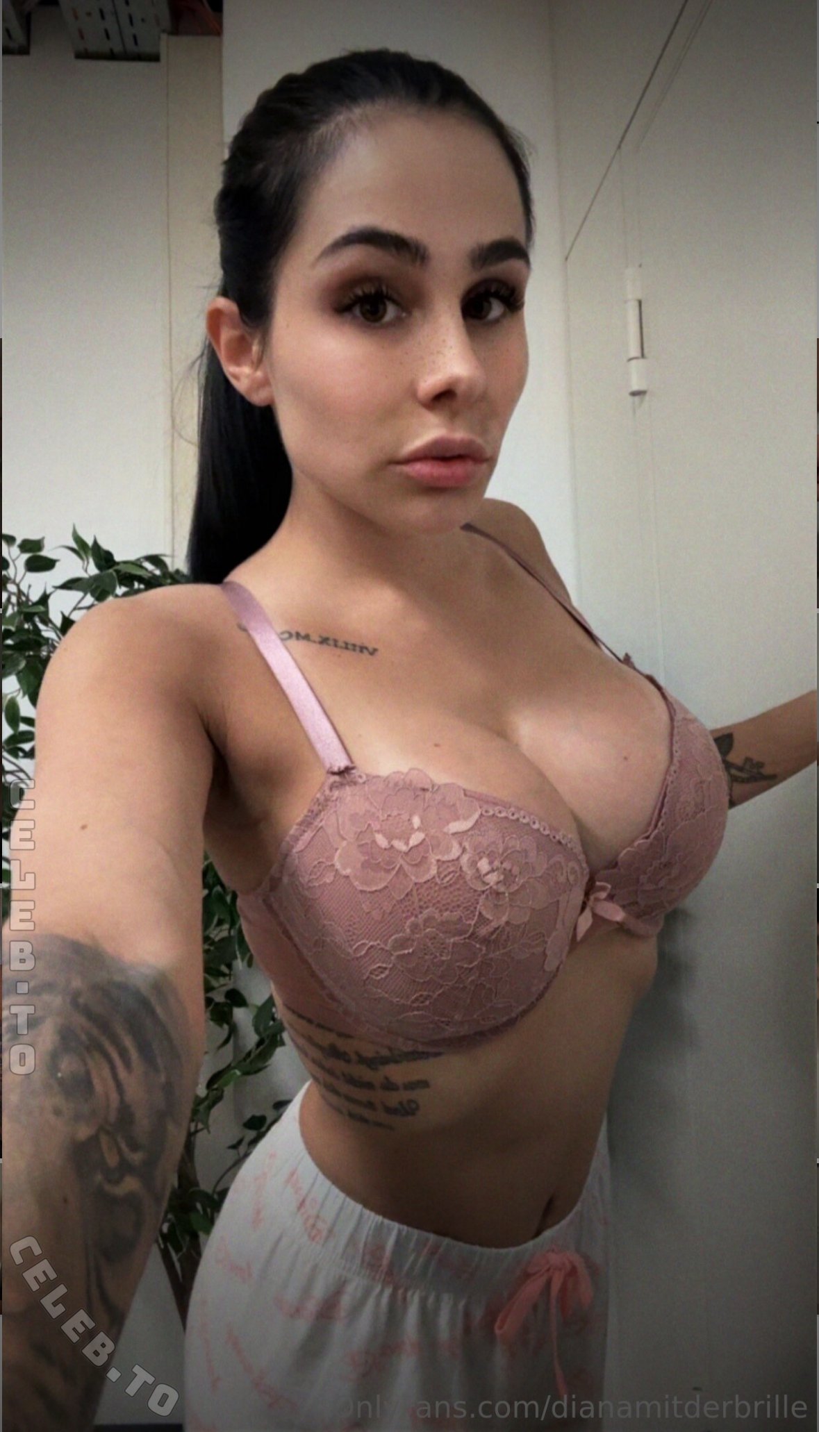 Diana Tamara Höfler nude photo 6