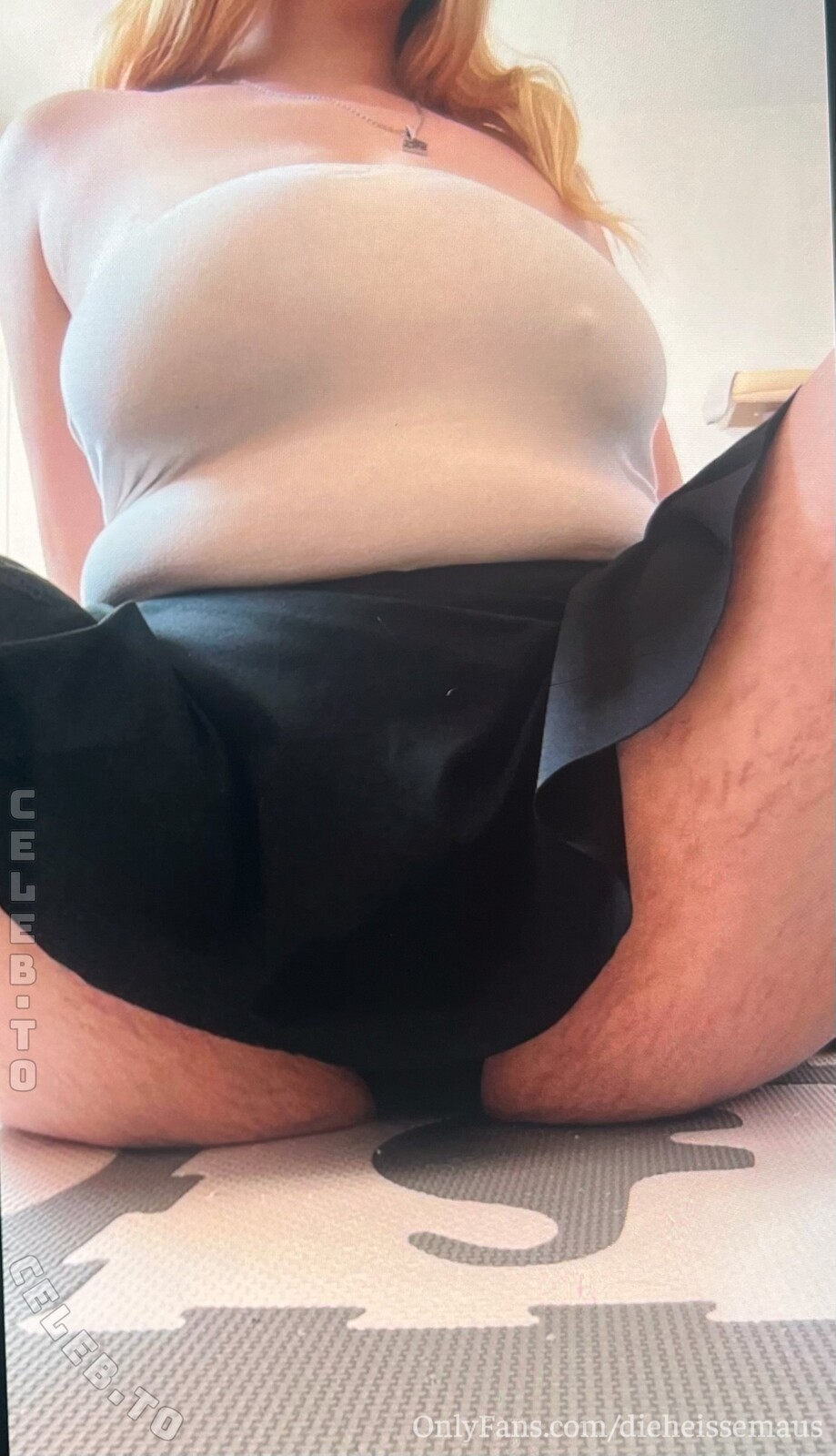 Dieheissemaus nude photo 1
