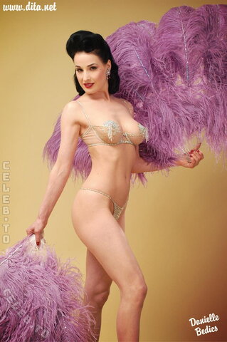 Dita von Teese nude photo 13