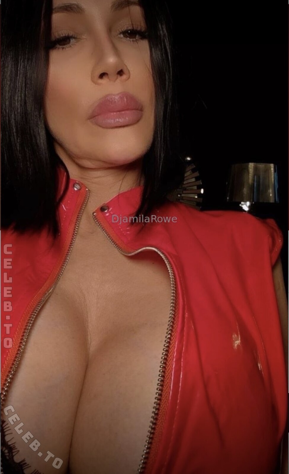 Djamila Rowe nude photo 3