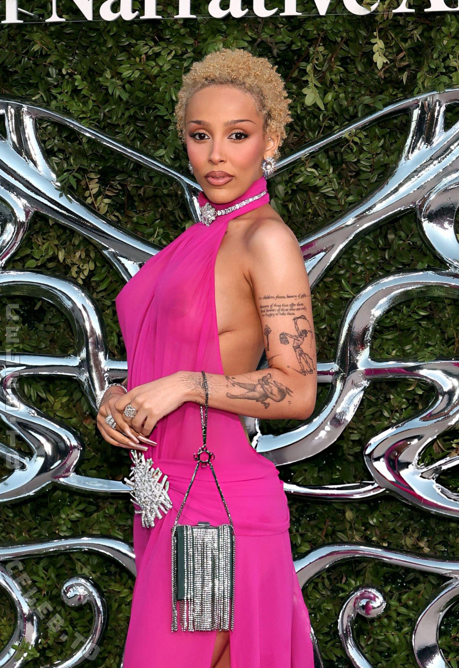 Doja Cat nude photo 2