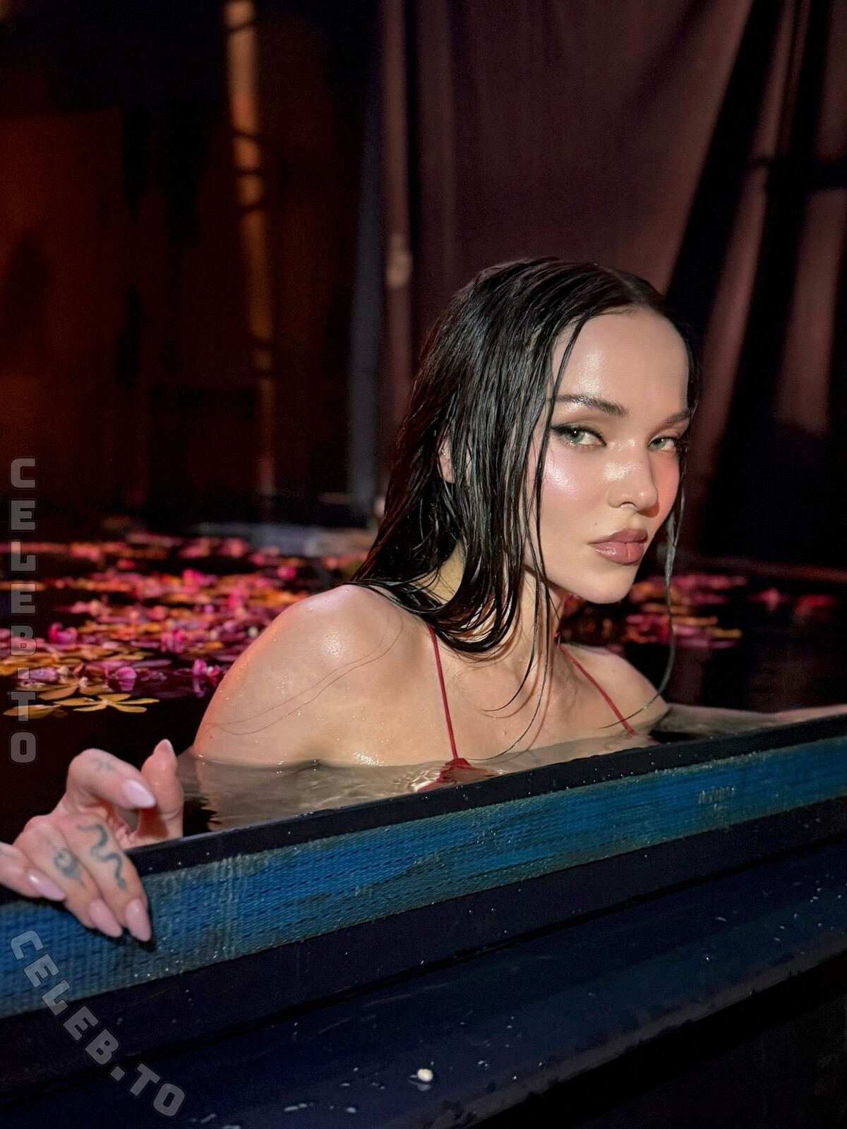 Dove Cameron nude photo 3