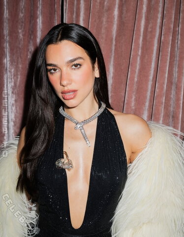 Dua Lipa nude photo 175