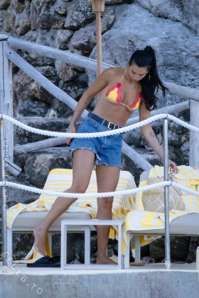 Dua Lipa nude photo 2