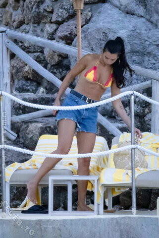 Dua Lipa nude photo 14
