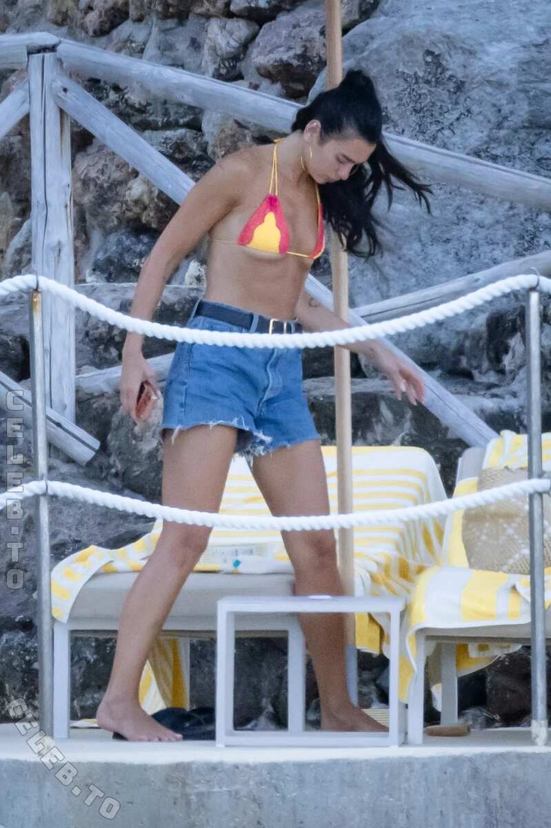 Dua Lipa nude photo 3