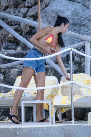Dua Lipa nude photo 8