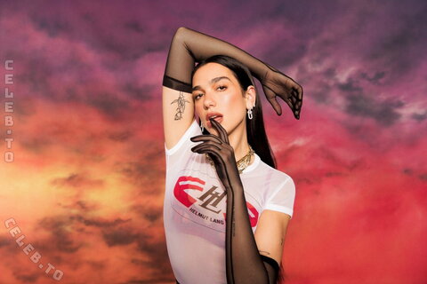 Dua Lipa in see-through Clinging Tee and Fishnets campaign shot by visionary photographer David Black