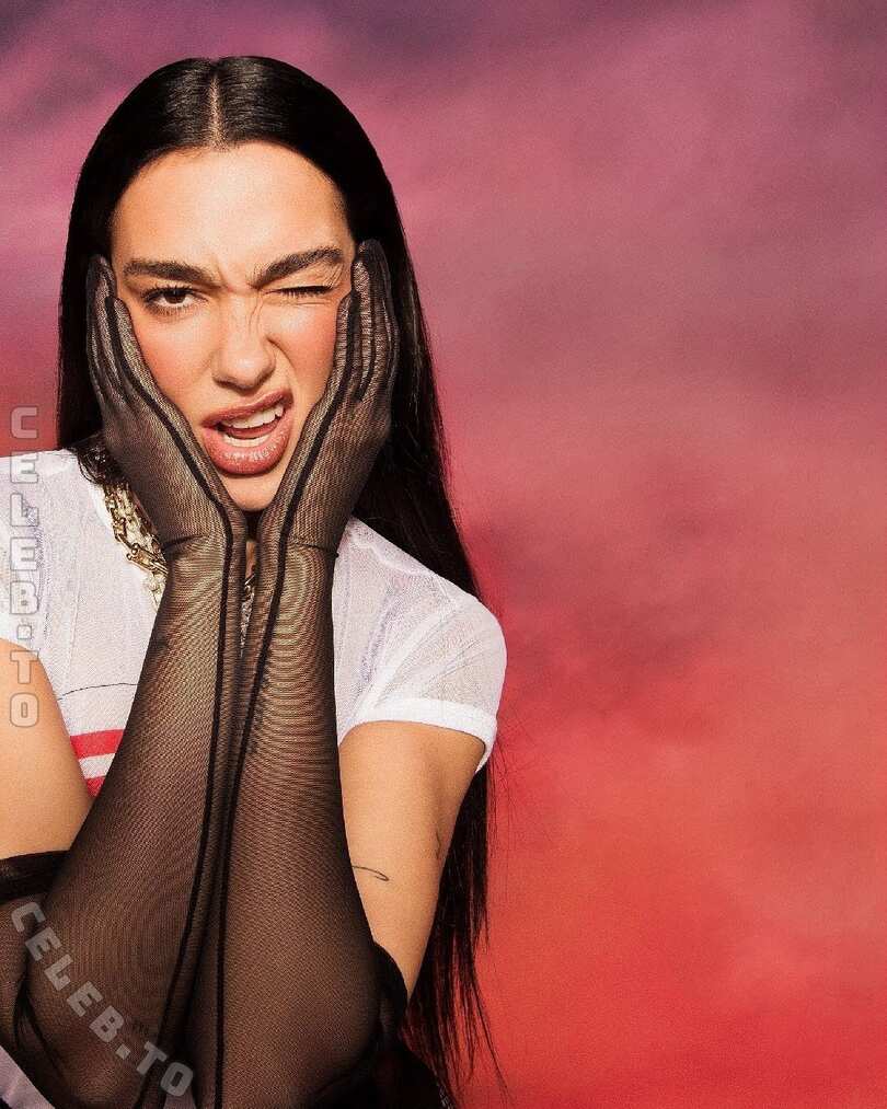 Dua Lipa nude photo 5