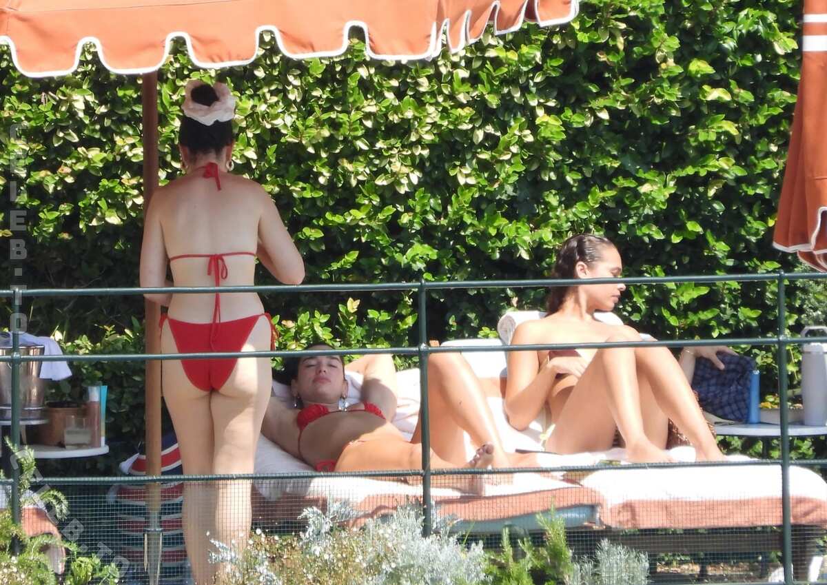 Dua Lipa nude photo 5