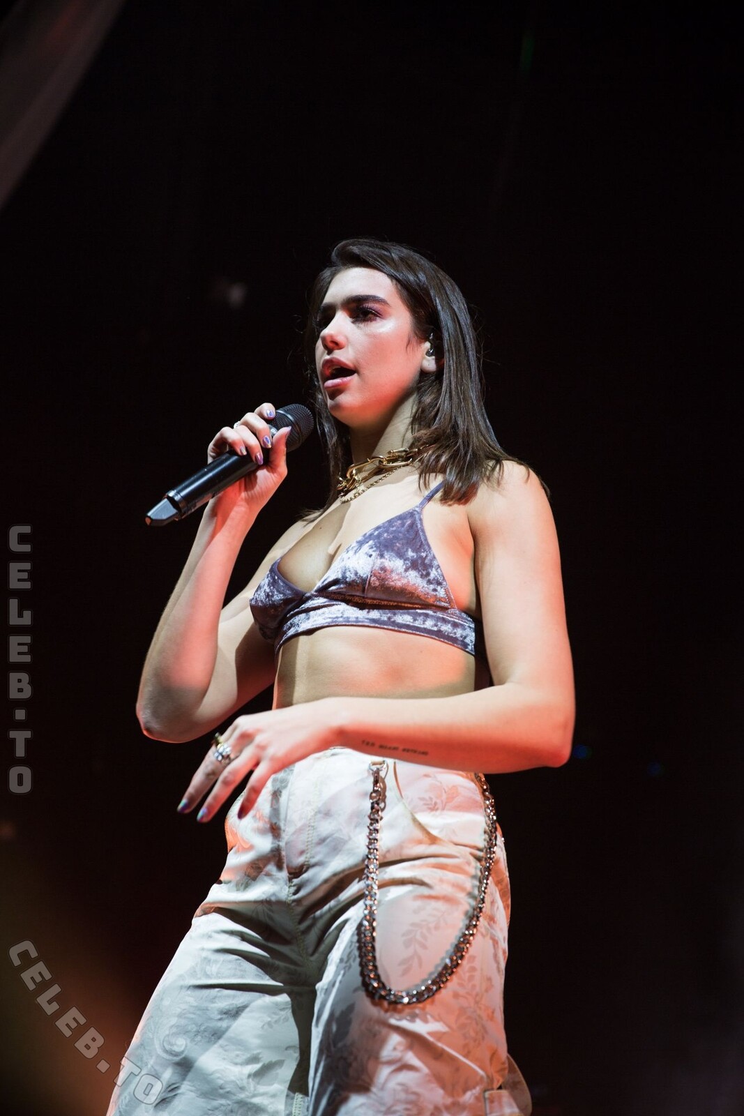 Dua Lipa nude photo 2