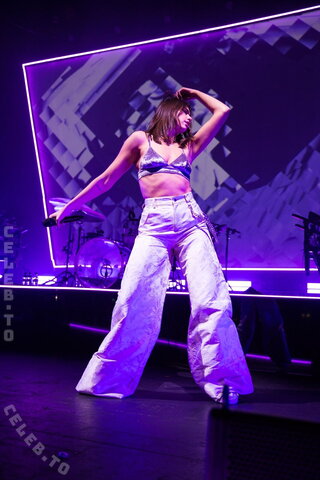 Dua Lipa nude photo 76