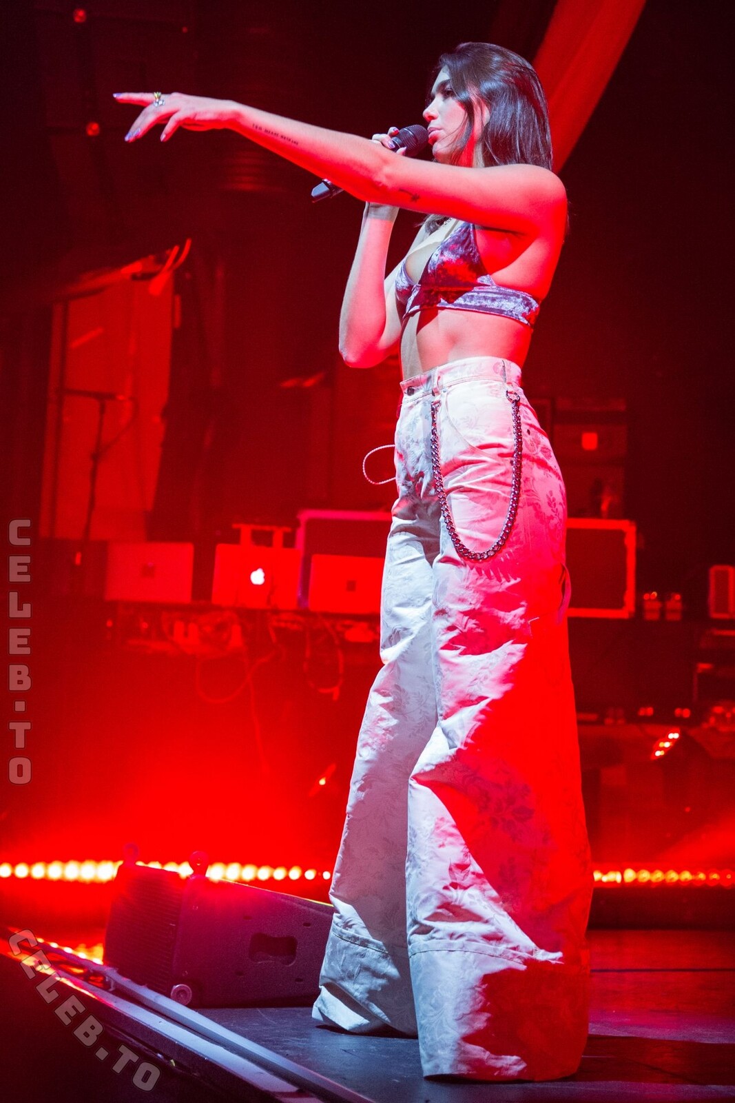 Dua Lipa nude photo 4