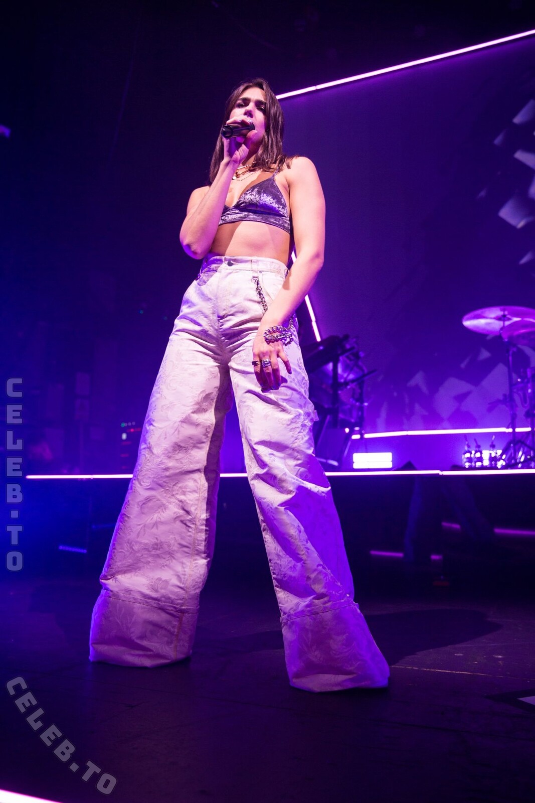 Dua Lipa nude photo 5