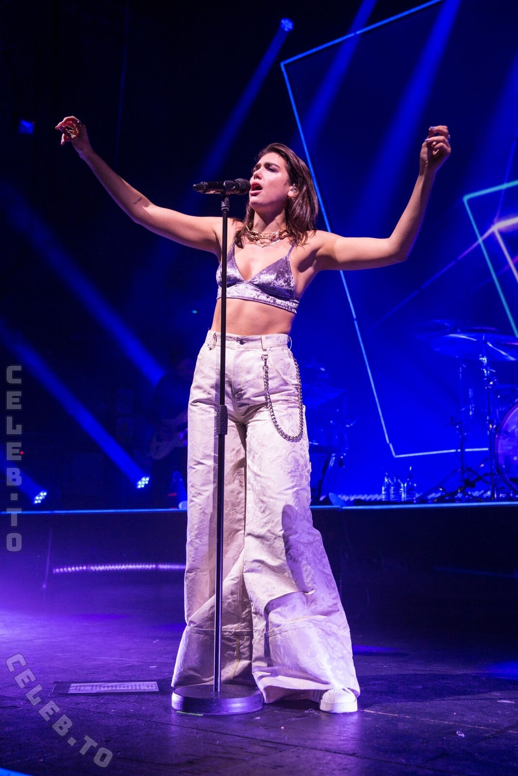 Dua Lipa nude photo 8