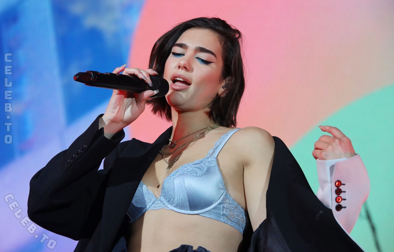 Dua Lipa nude photo 4