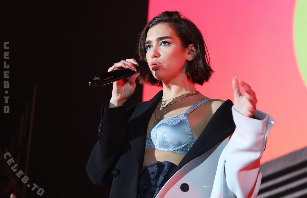 Dua Lipa nude photo 13