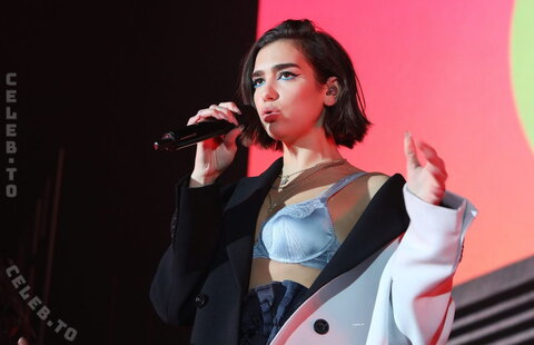 Dua Lipa nude photo 44