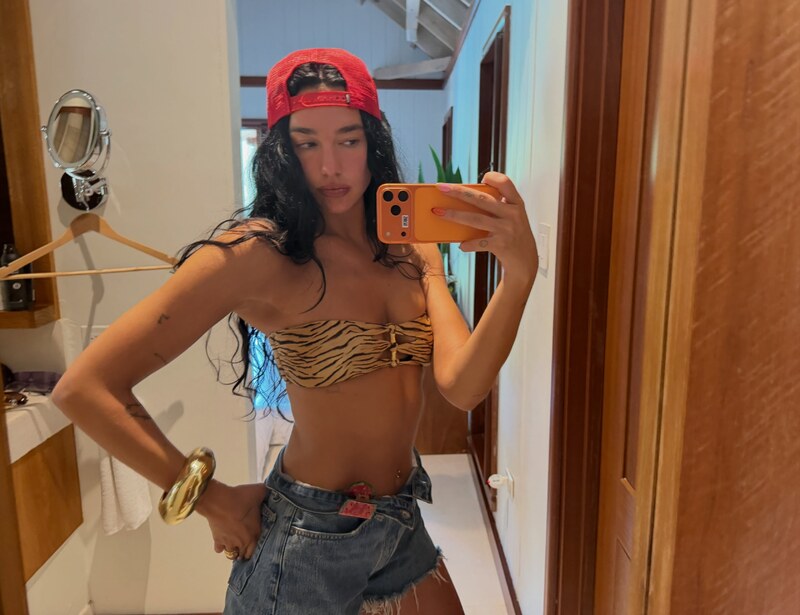 Dua Lipa nude photo 9