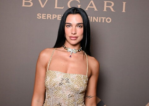 Dua Lipa Fresh (11 photos)
