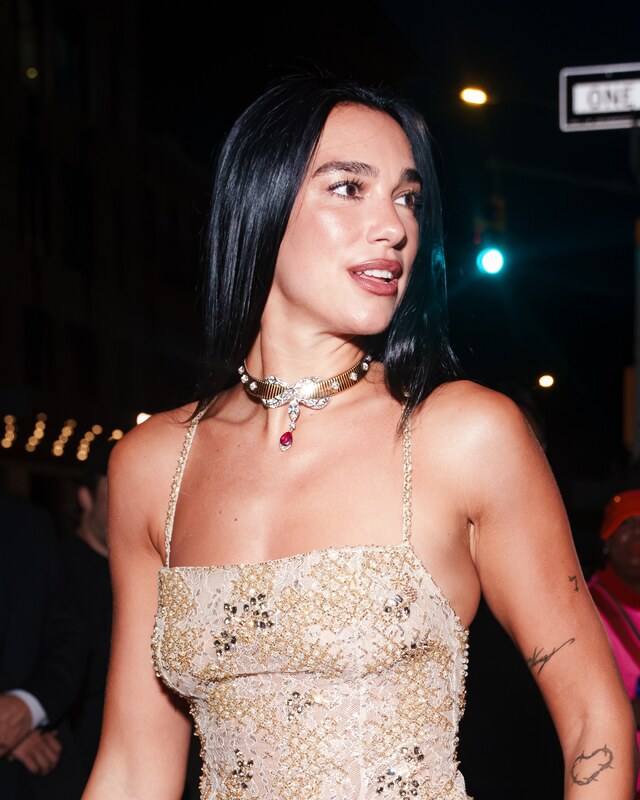 Dua Lipa nude photo 4