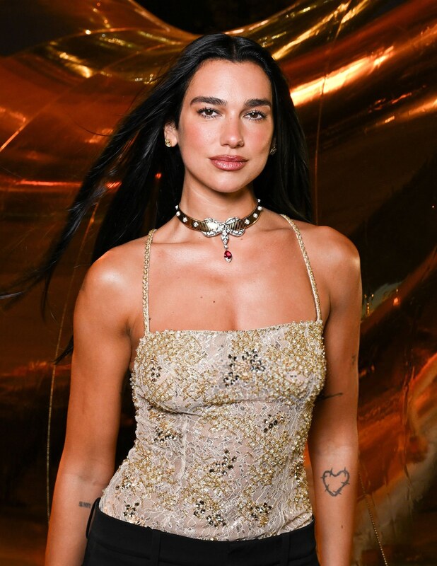 Dua Lipa nude photo 8