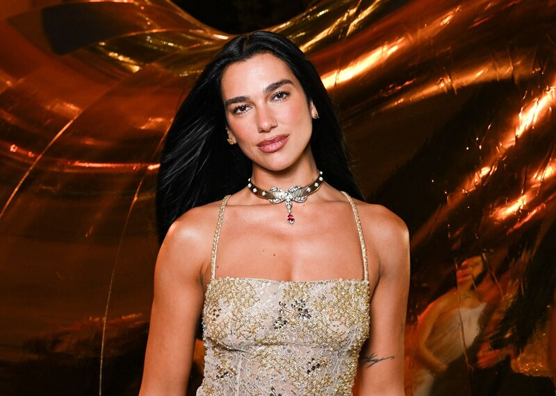 Dua Lipa nude photo 9