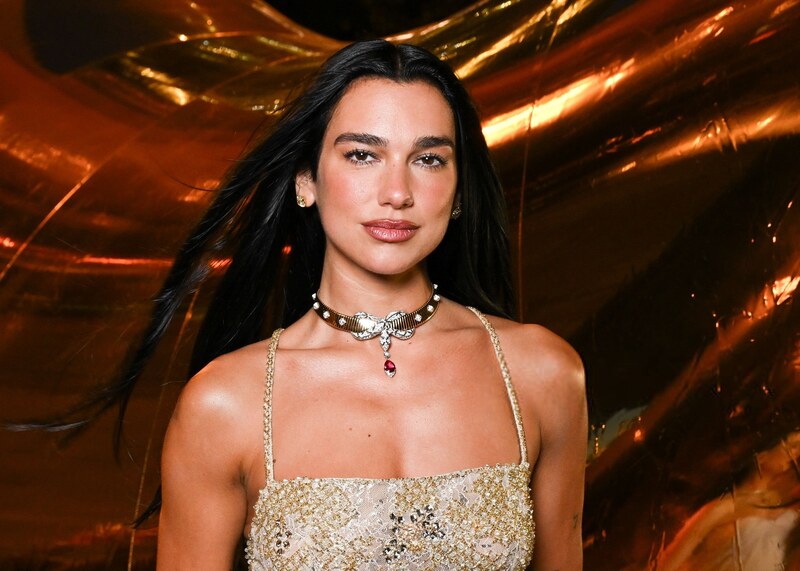 Dua Lipa nude photo 11